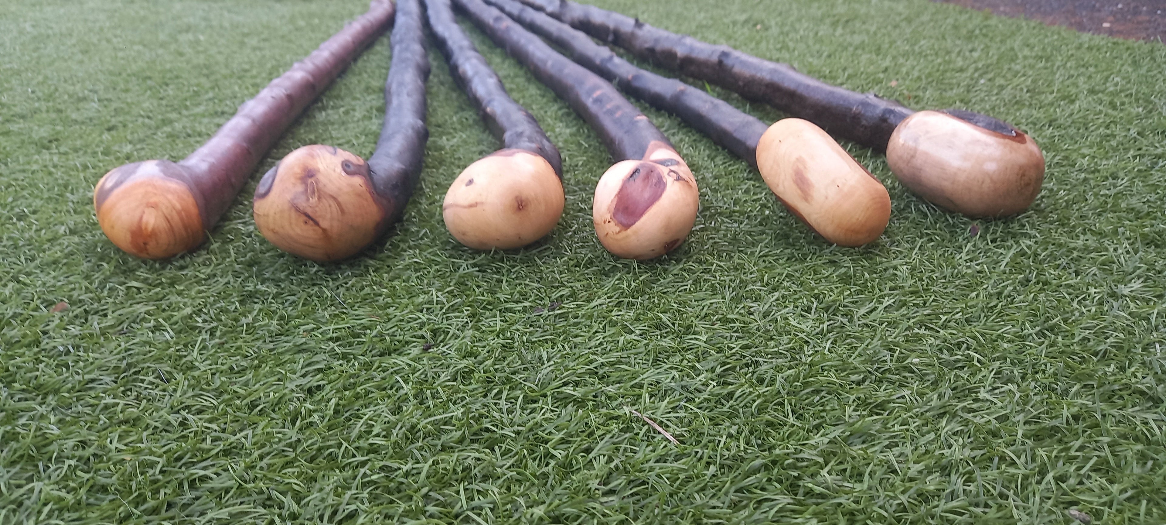 Walking Sticks