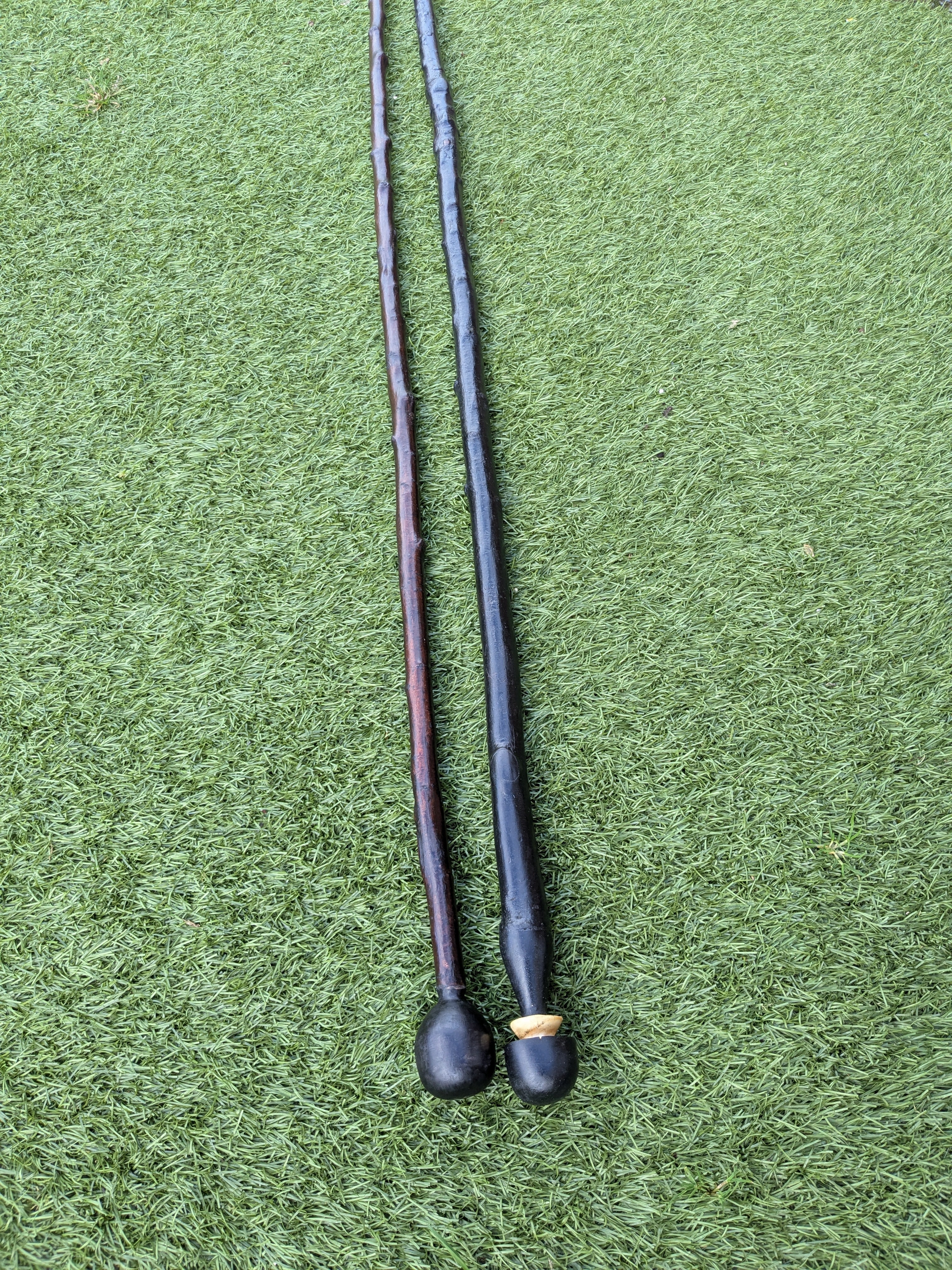 Hiking Sticks