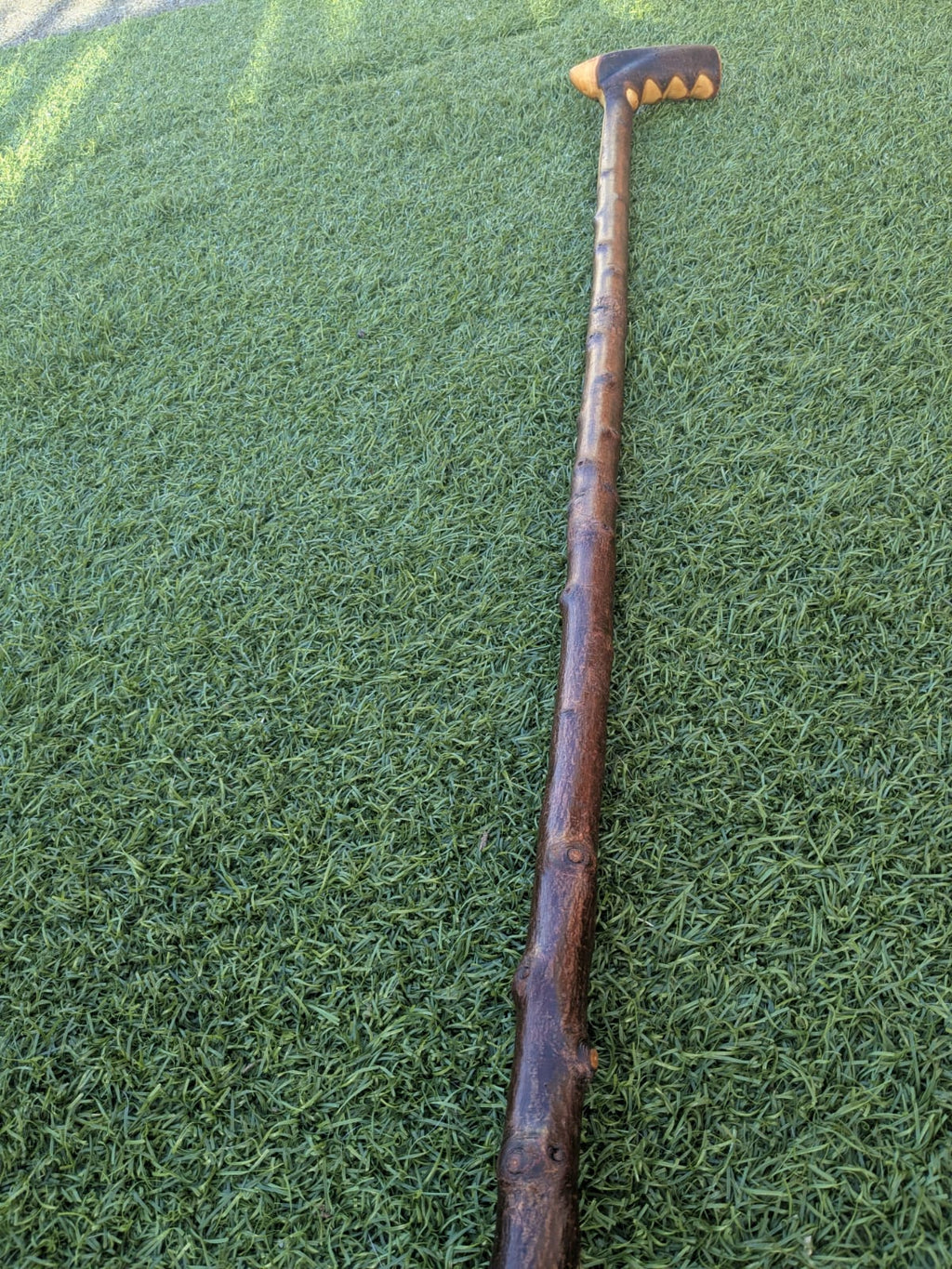 Blackthorn Walking Stick