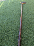 Blackthorn Walking Stick