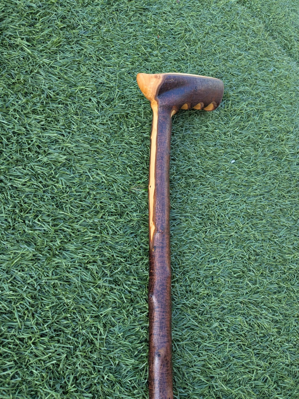 Blackthorn Walking Stick