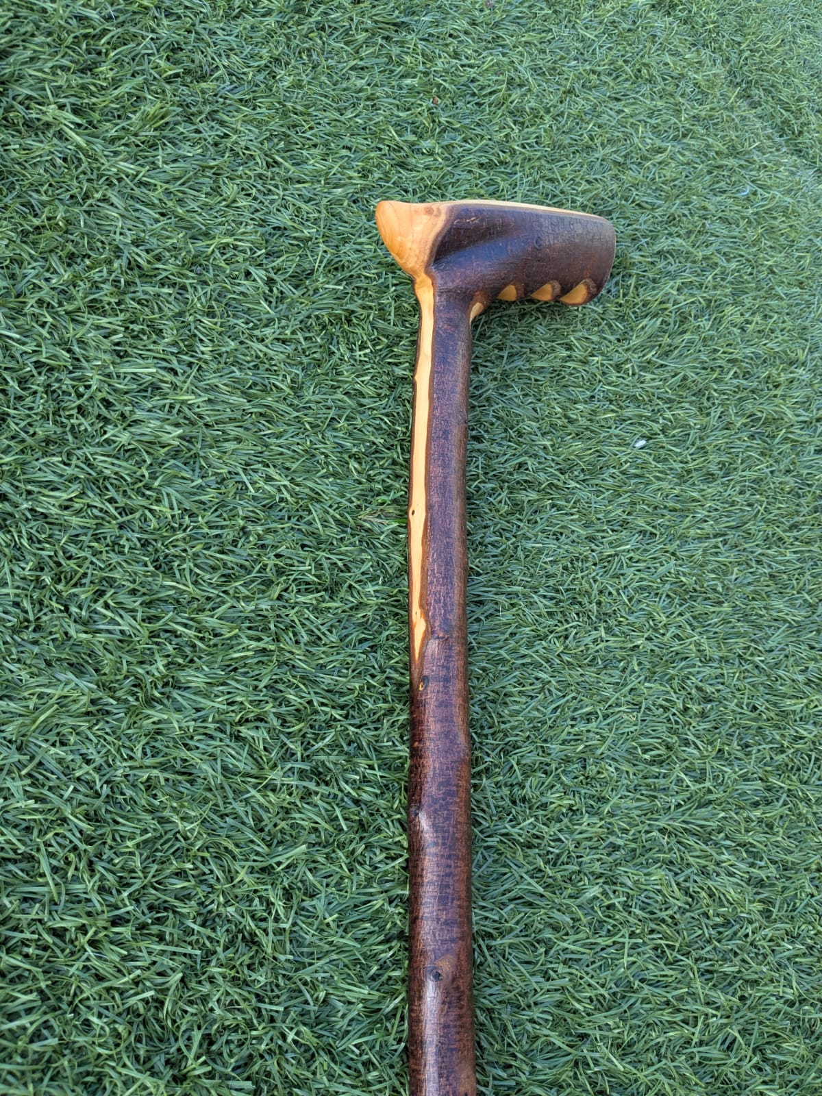 Blackthorn Walking Stick