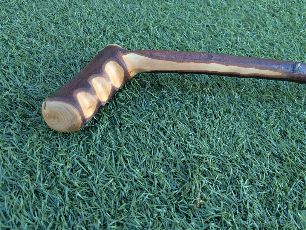Blackthorn Walking Stick