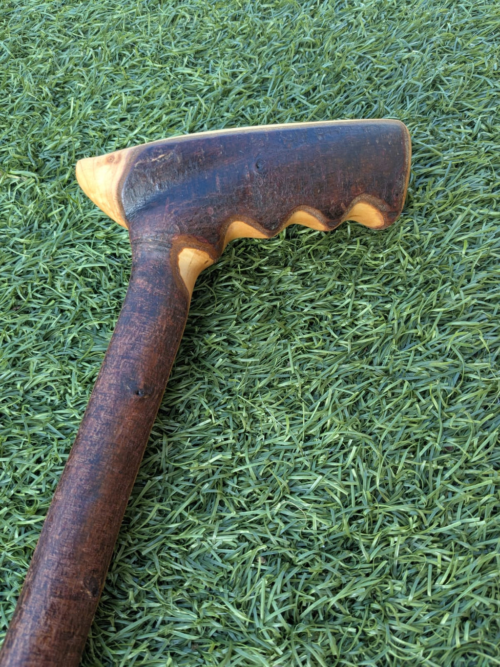 Blackthorn Walking Stick