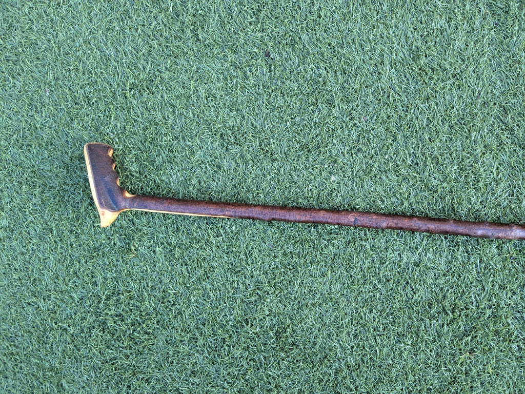 Blackthorn Walking Stick