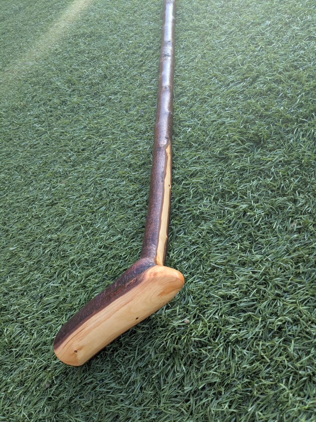 Blackthorn Walking Stick
