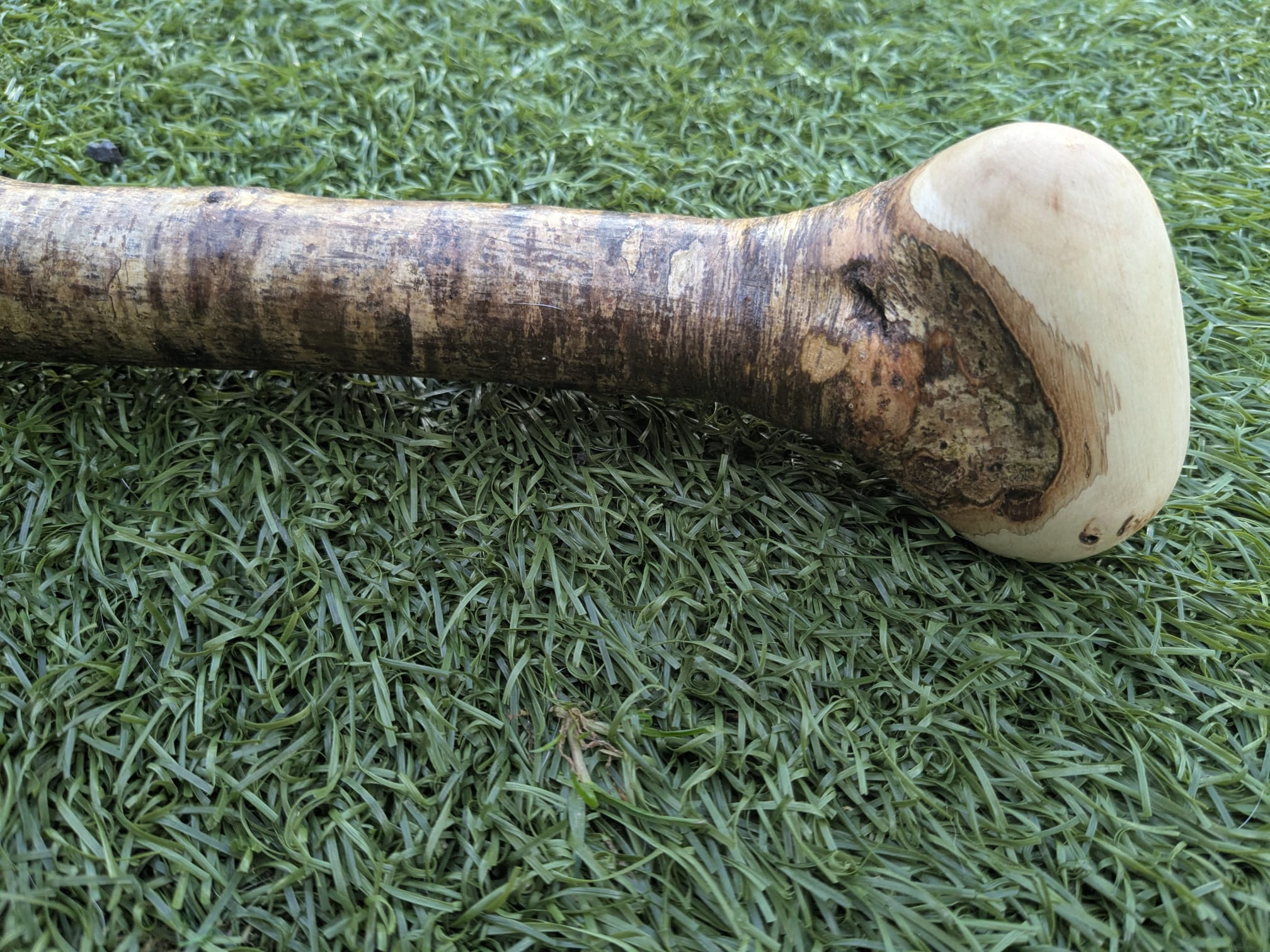 Hazel Shillelagh Walking Stick
