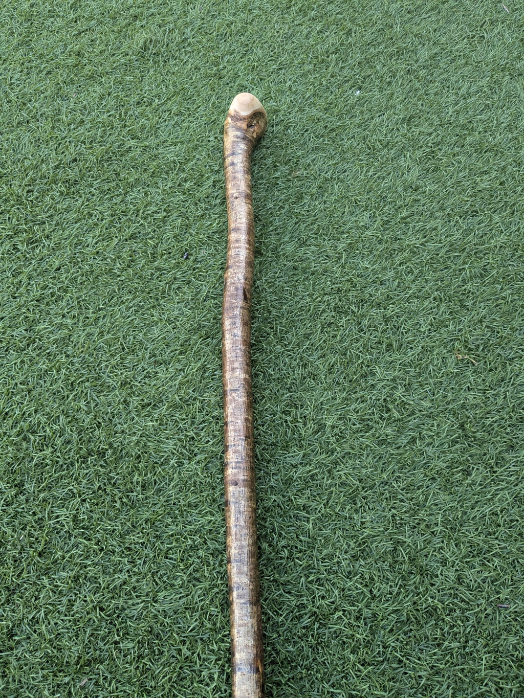 Hazel Shillelagh Walking Stick
