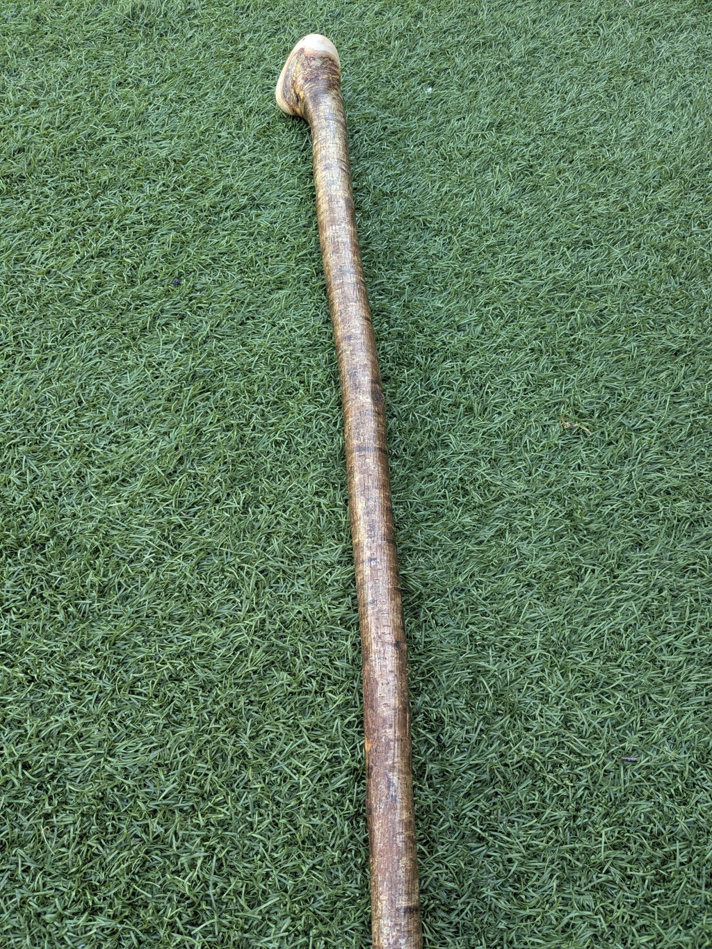 Hazel Shillelagh Walking Stick