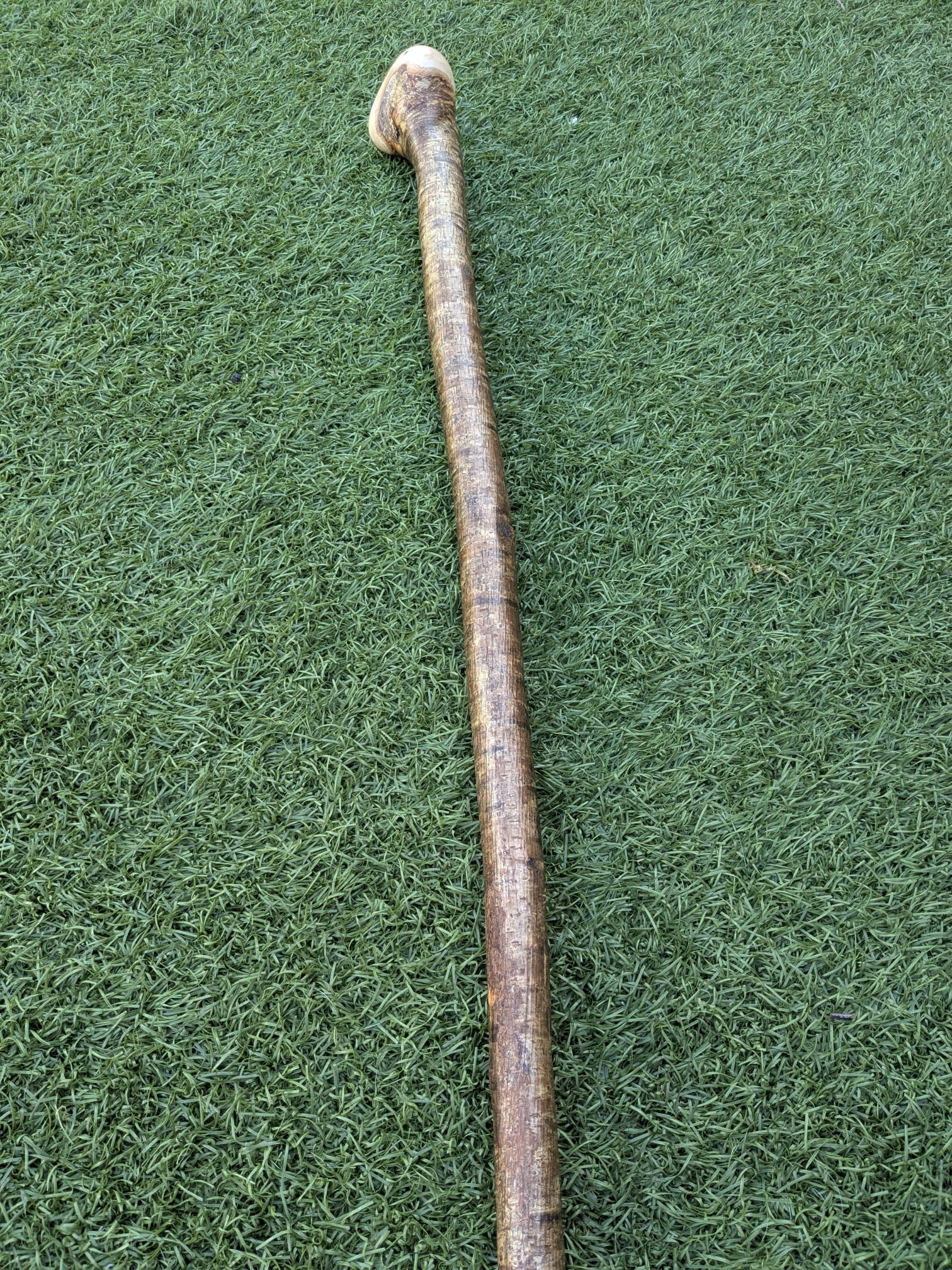 Hazel Shillelagh Walking Stick