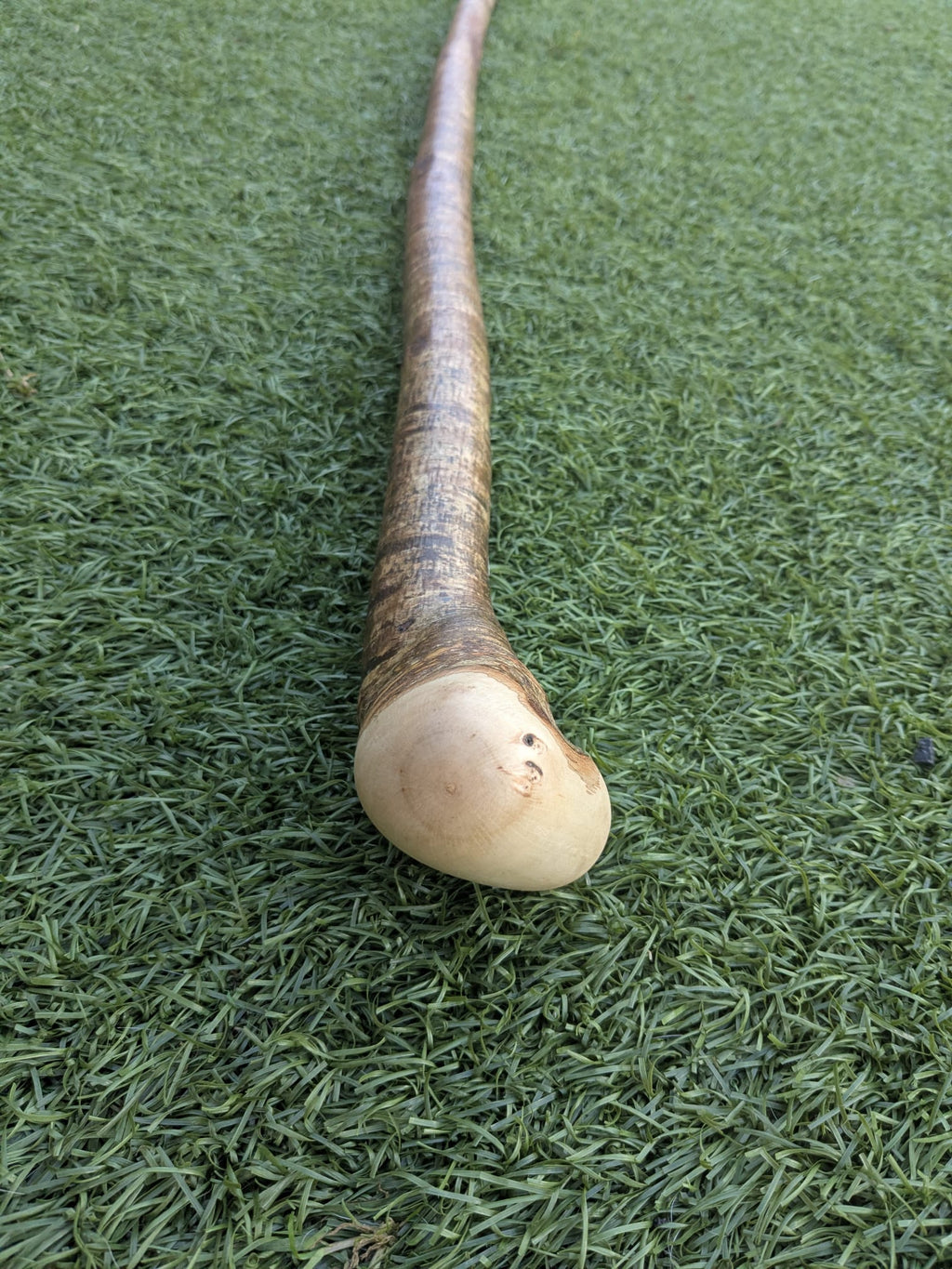 Hazel Shillelagh Walking Stick