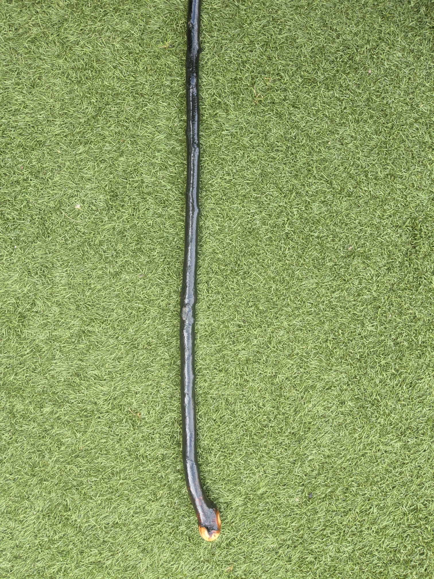 Shillelagh walking stick
