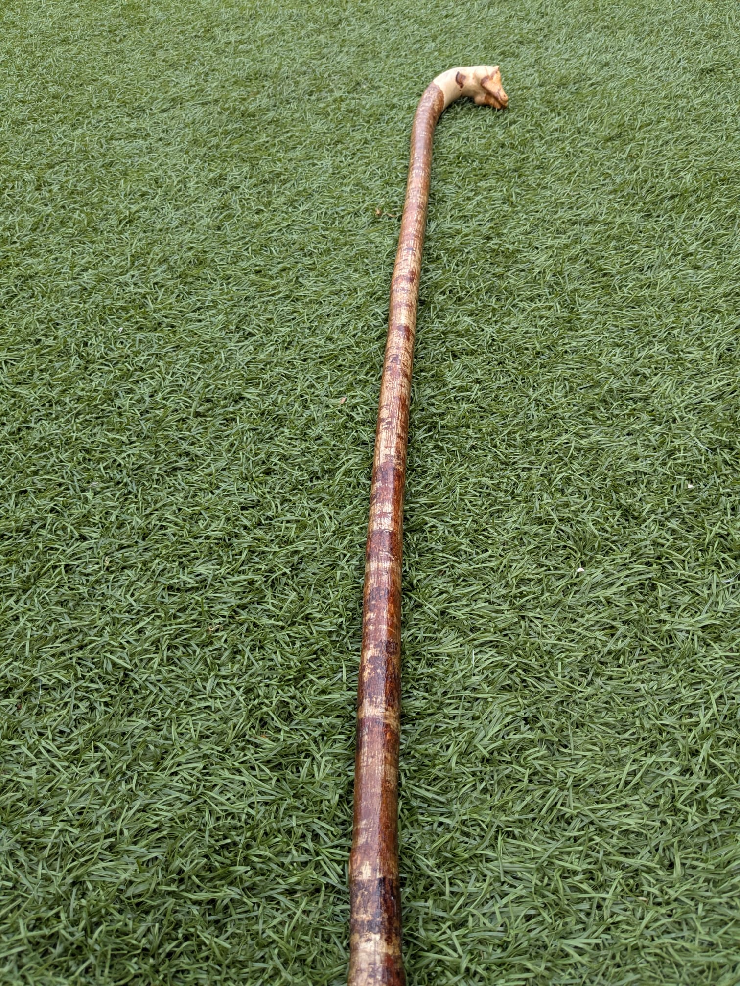 Hazel Horse Head Walking Cane