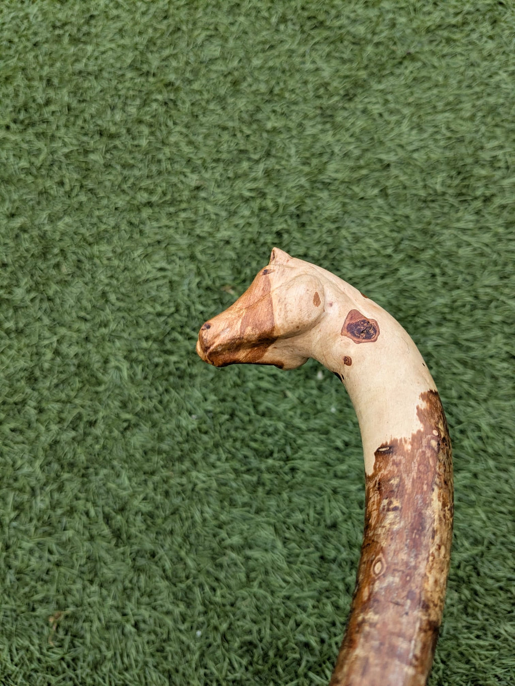 Hazel Horse Head Walking Cane