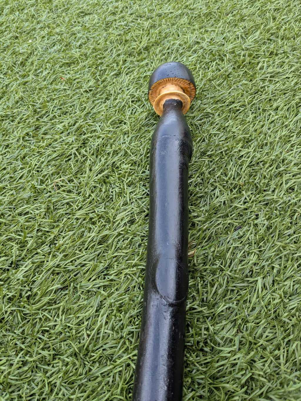 Blackthorn and ash hiking stick