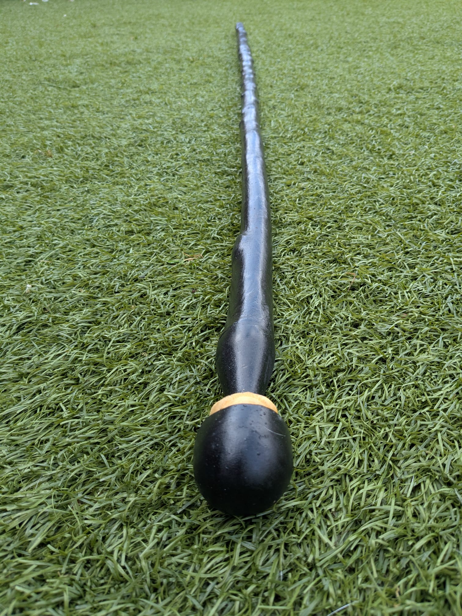Blackthorn and ash hiking stick