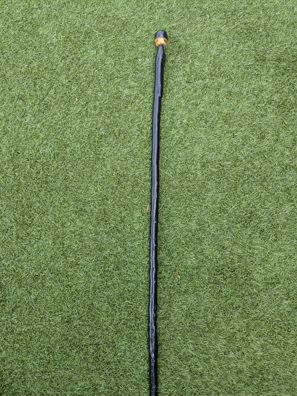 Blackthorn and ash hiking stick