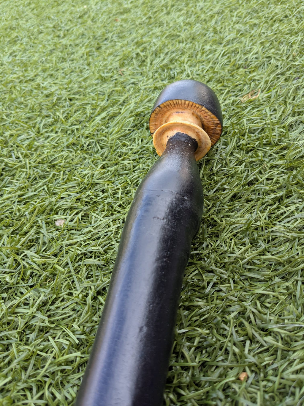 Blackthorn and ash hiking stick