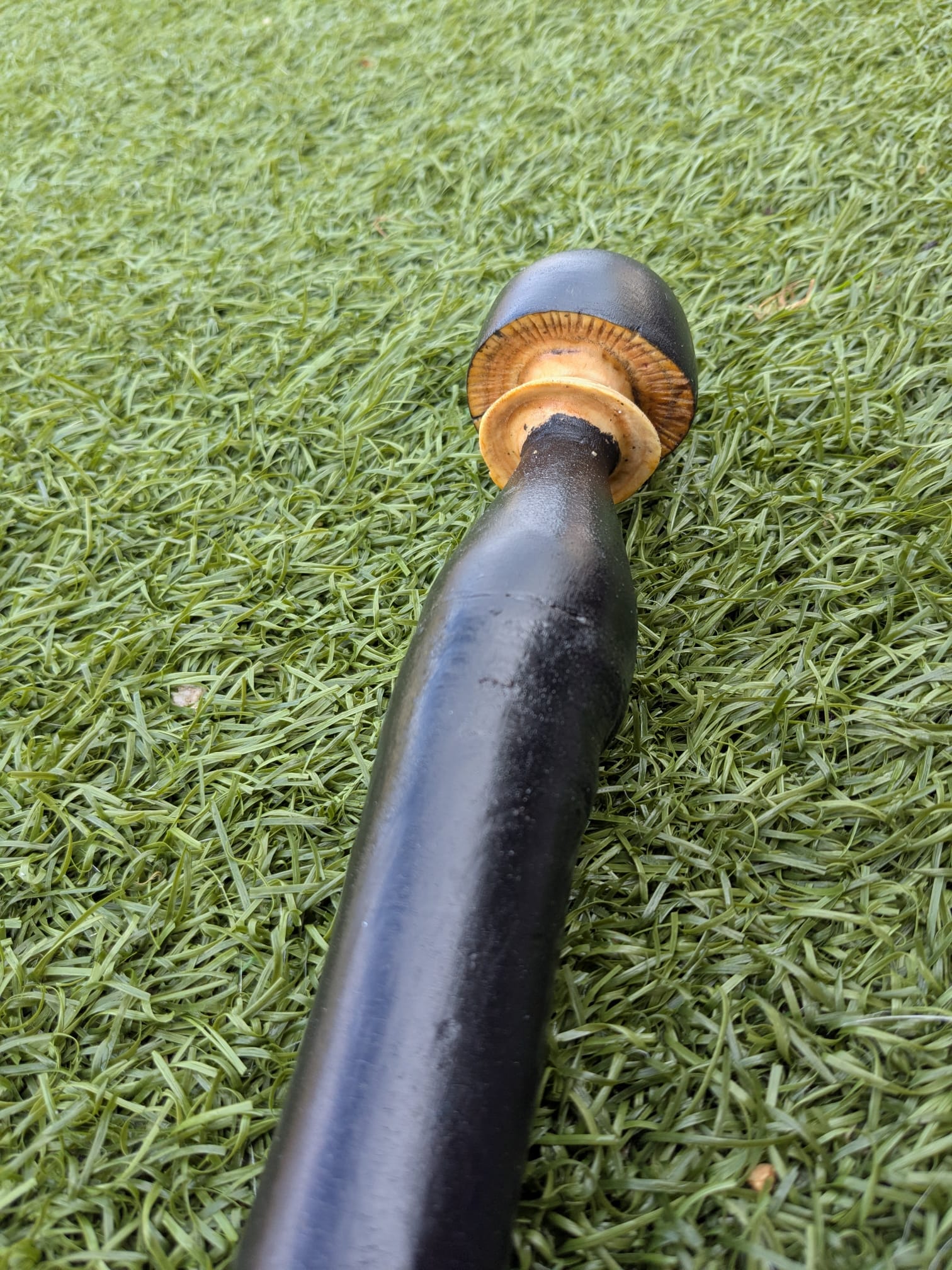 Blackthorn and ash hiking stick