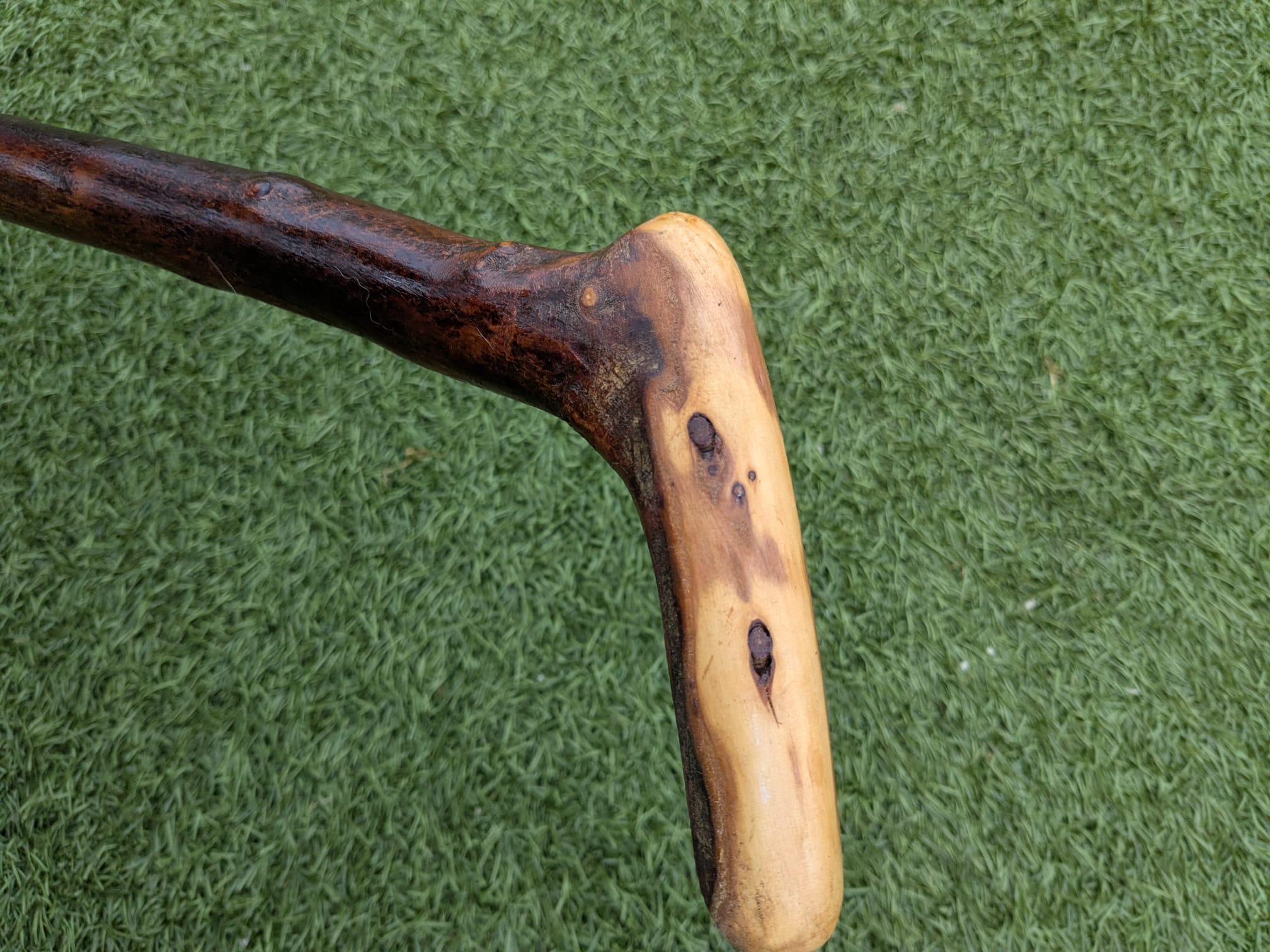 L-handle Blackthorn walking stick