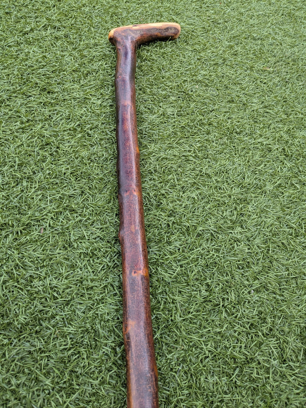 L-handle Blackthorn walking stick