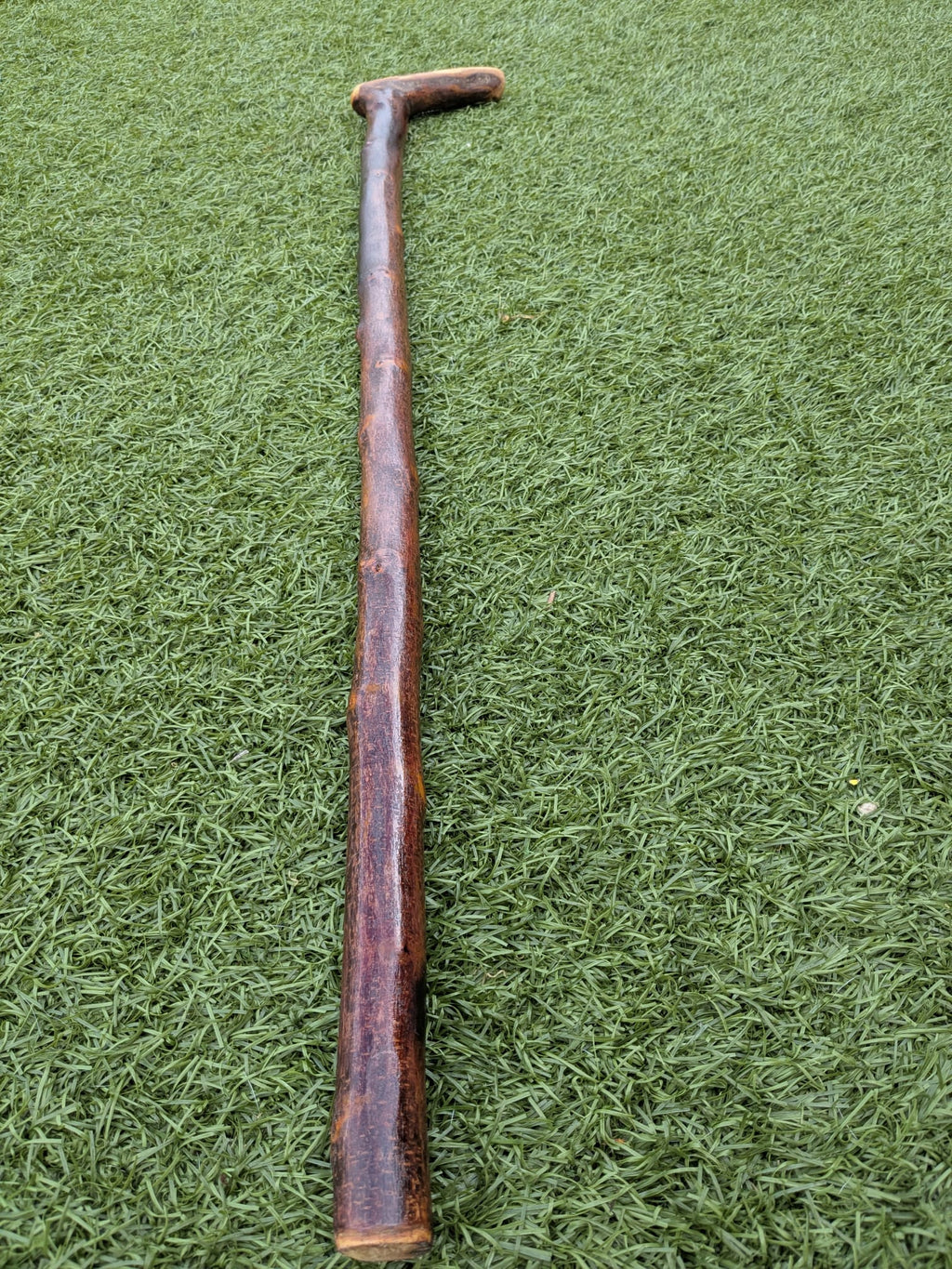 L-handle Blackthorn walking stick