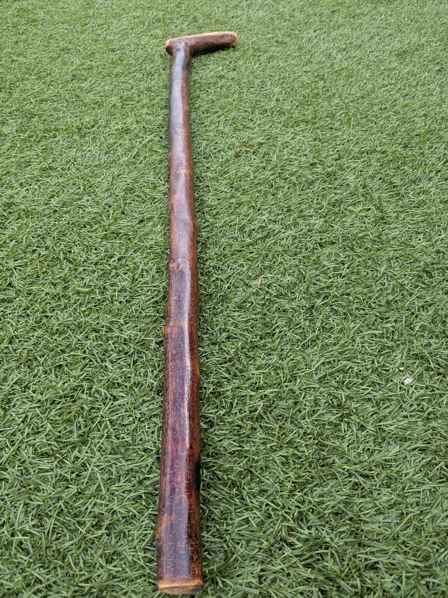 L-handle Blackthorn walking stick