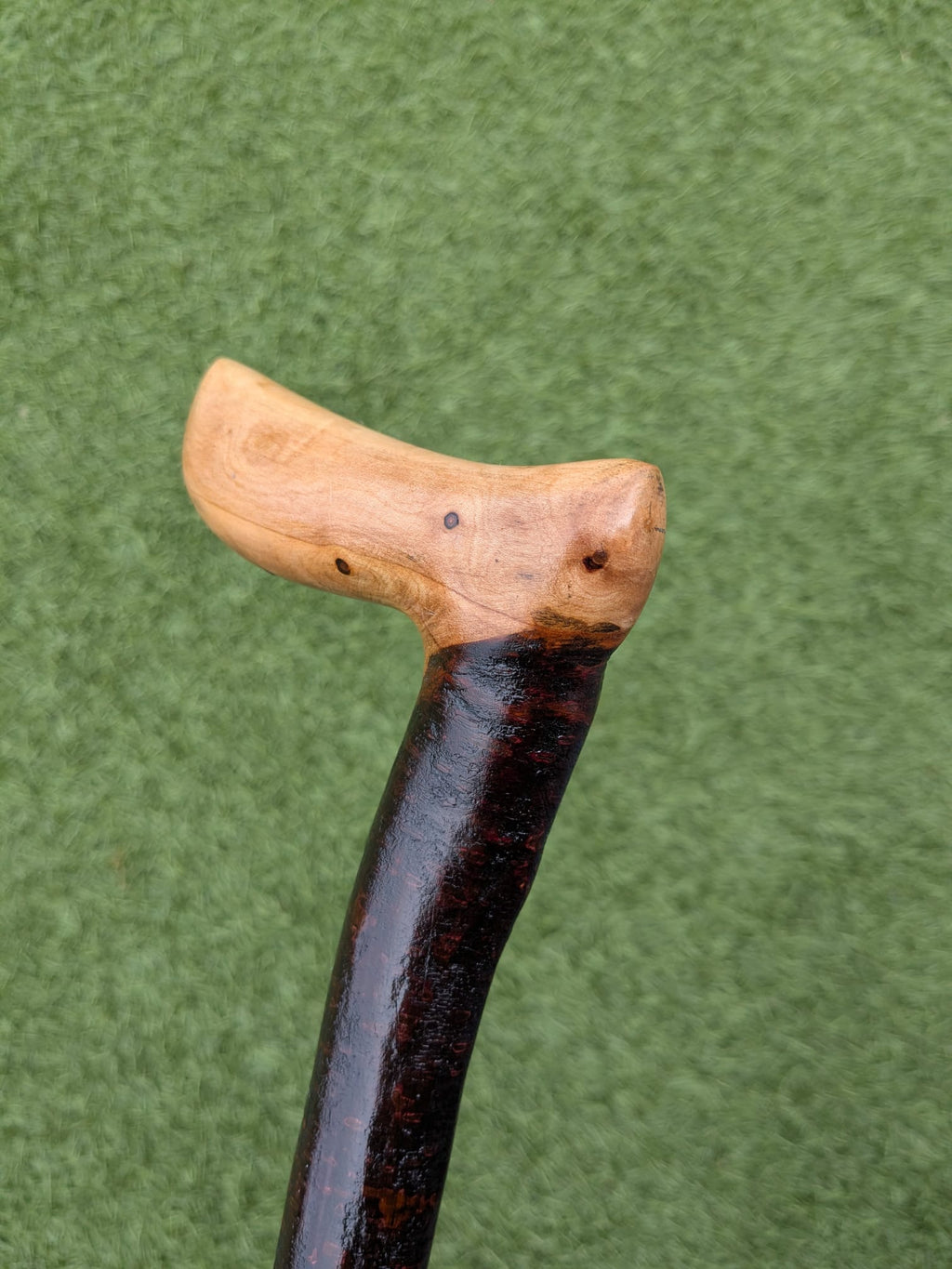 L-handle Blackthorn walking stick