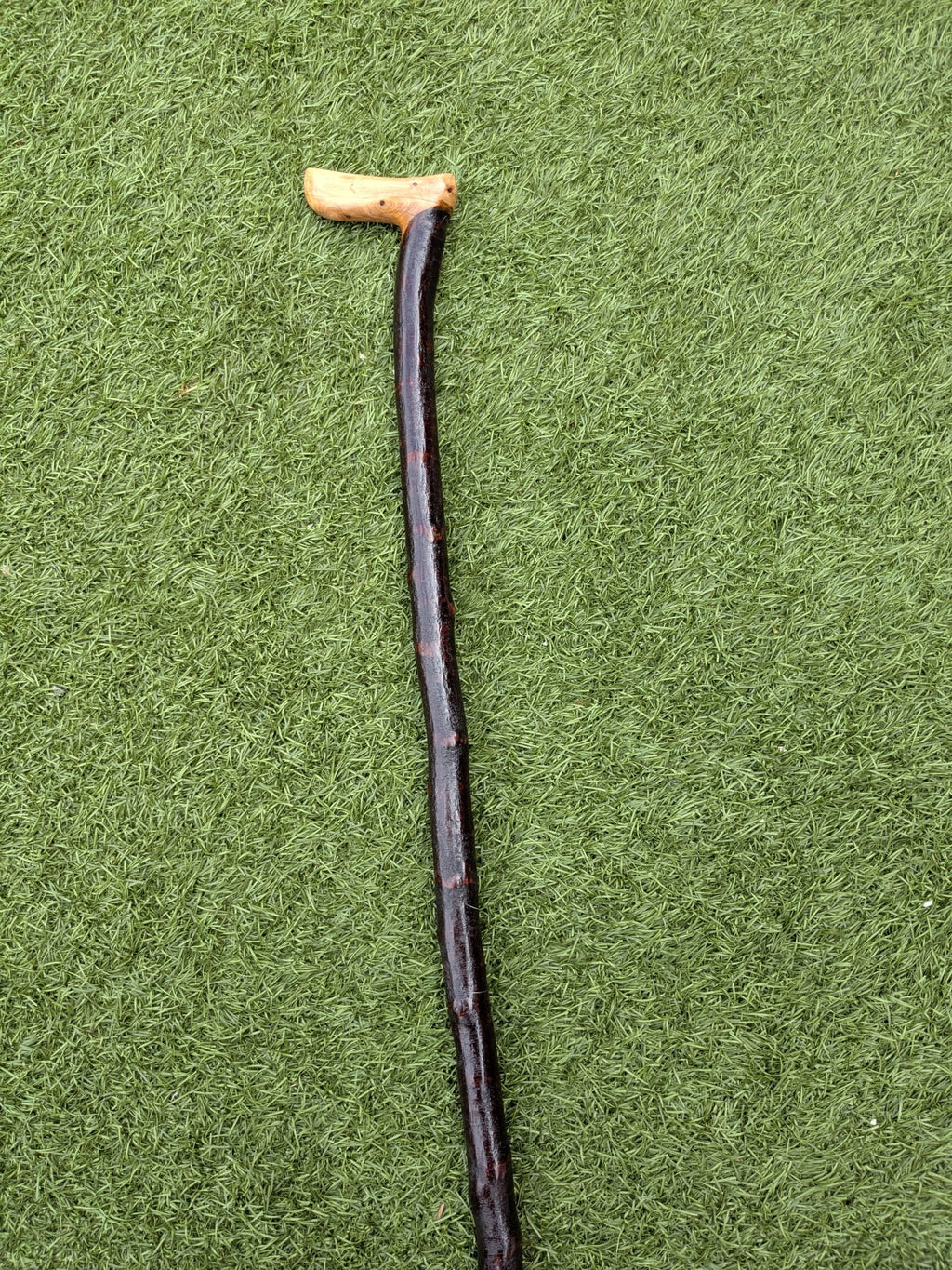 L-handle Blackthorn walking stick