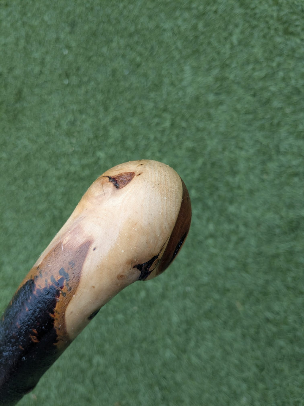 Blackthorn Root ball Walking Stick