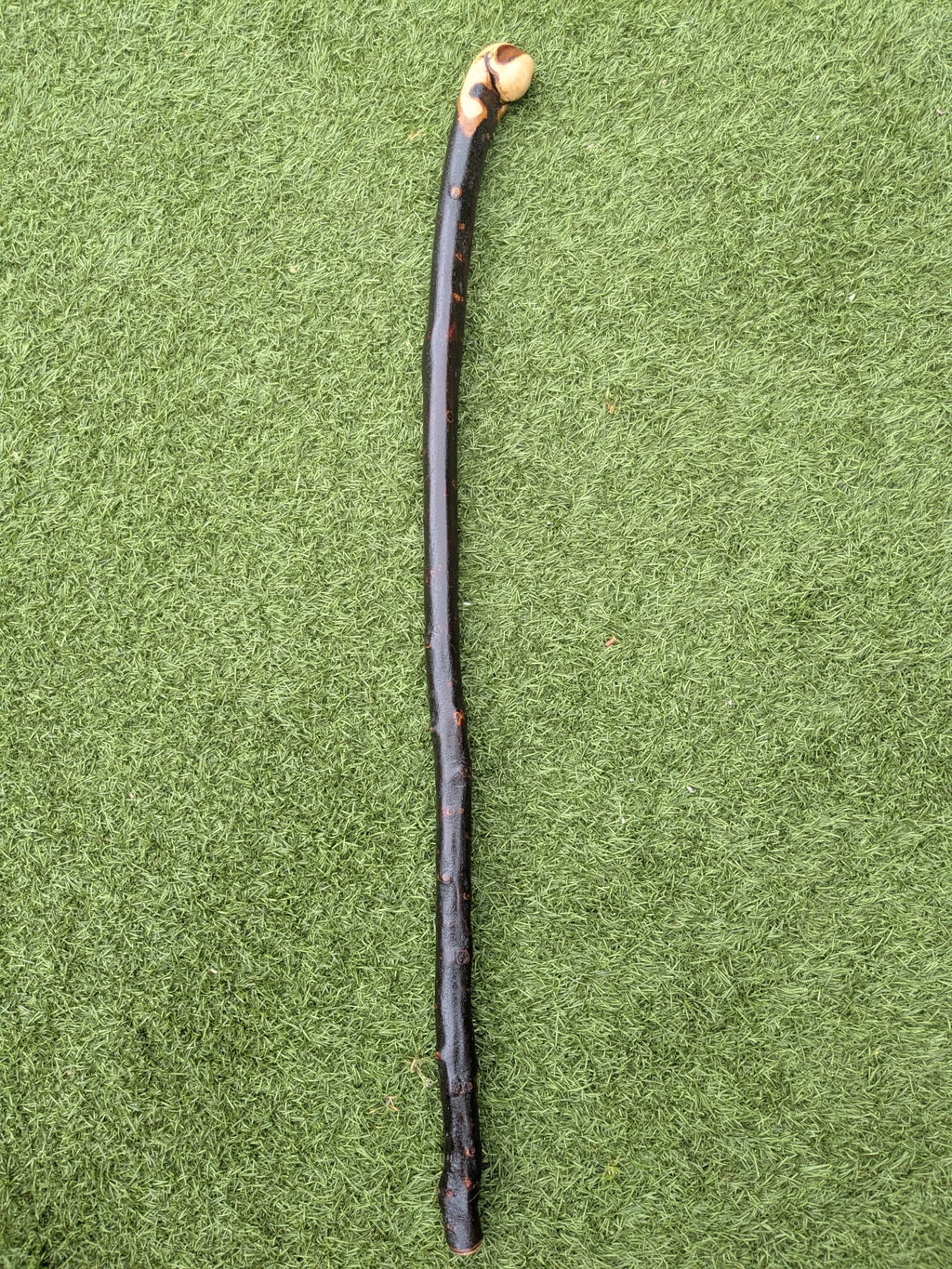 Blackthorn Root ball Walking Stick