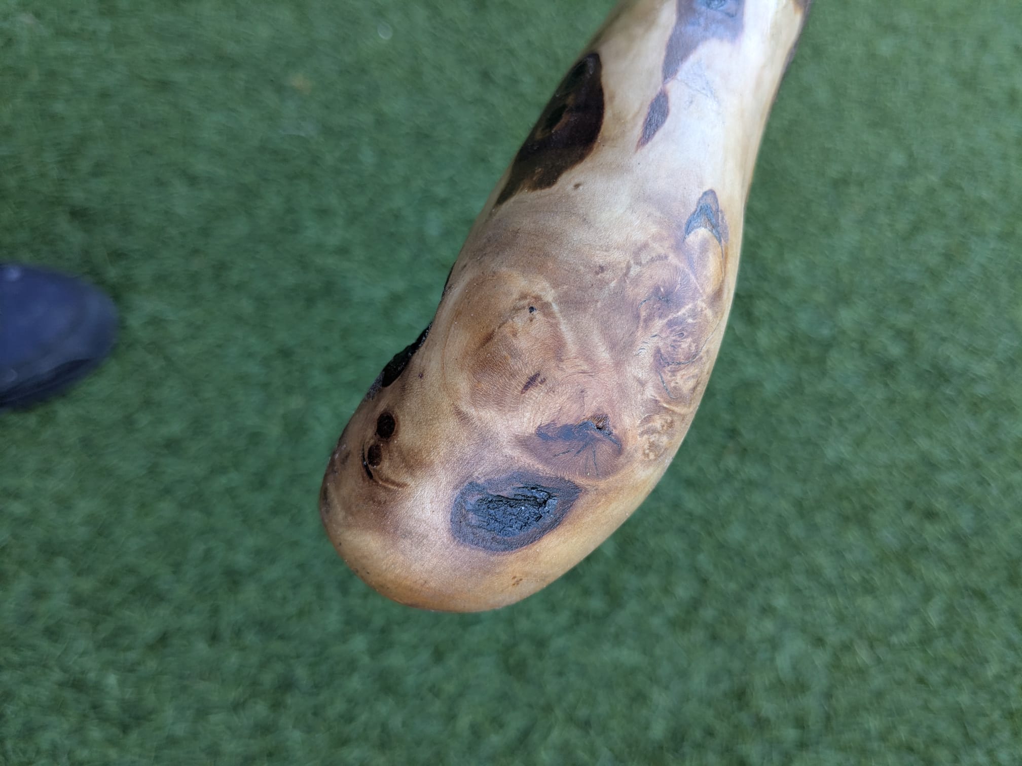 Big Blackthorn Rootball Walking Stick
