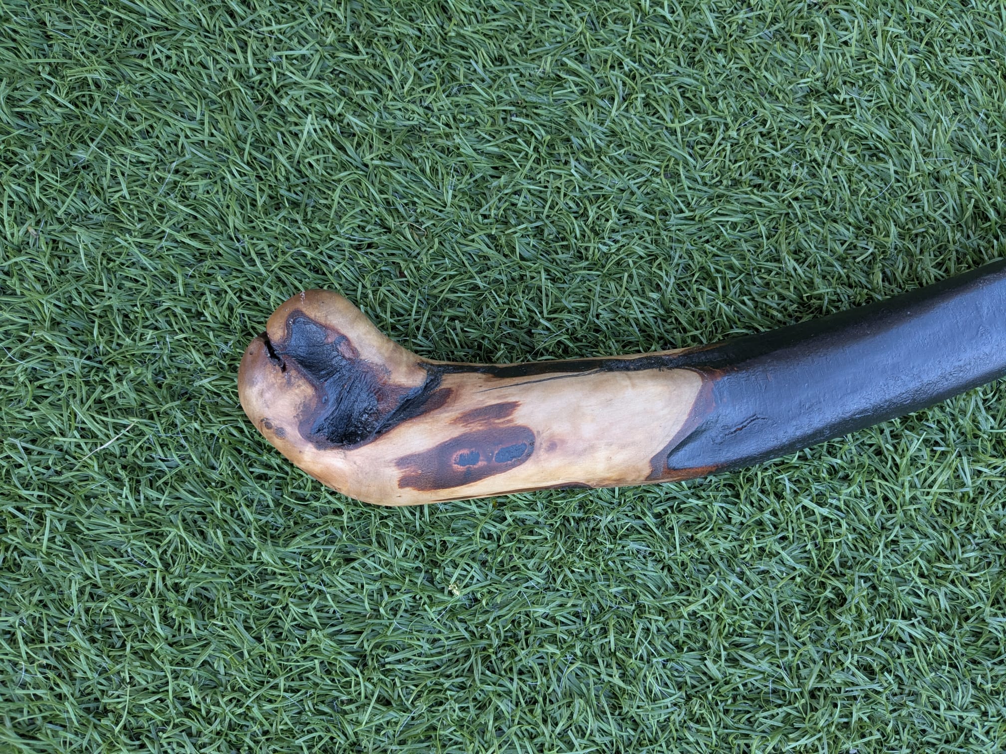 Big Blackthorn Rootball Walking Stick