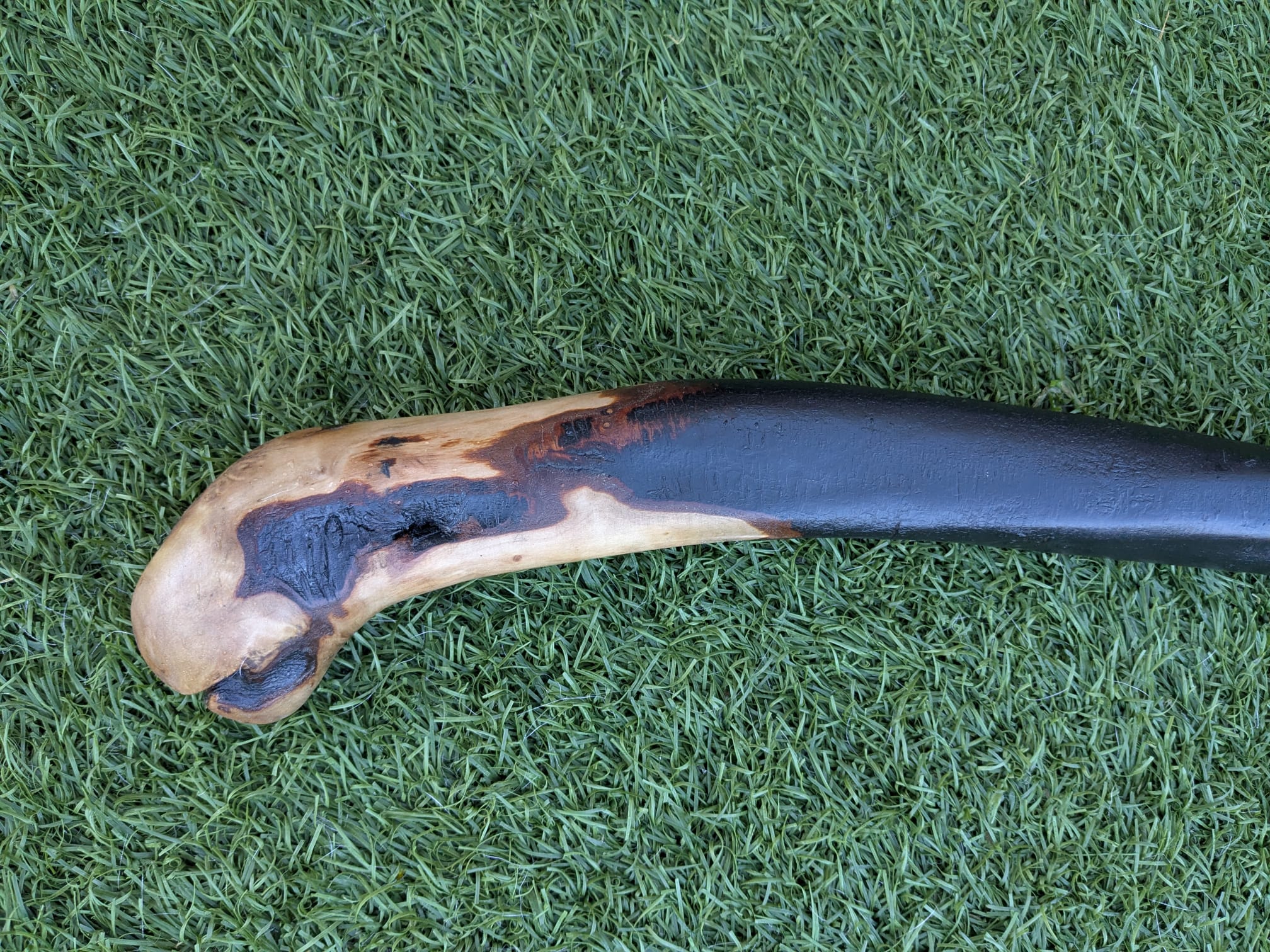 Big Blackthorn Rootball Walking Stick
