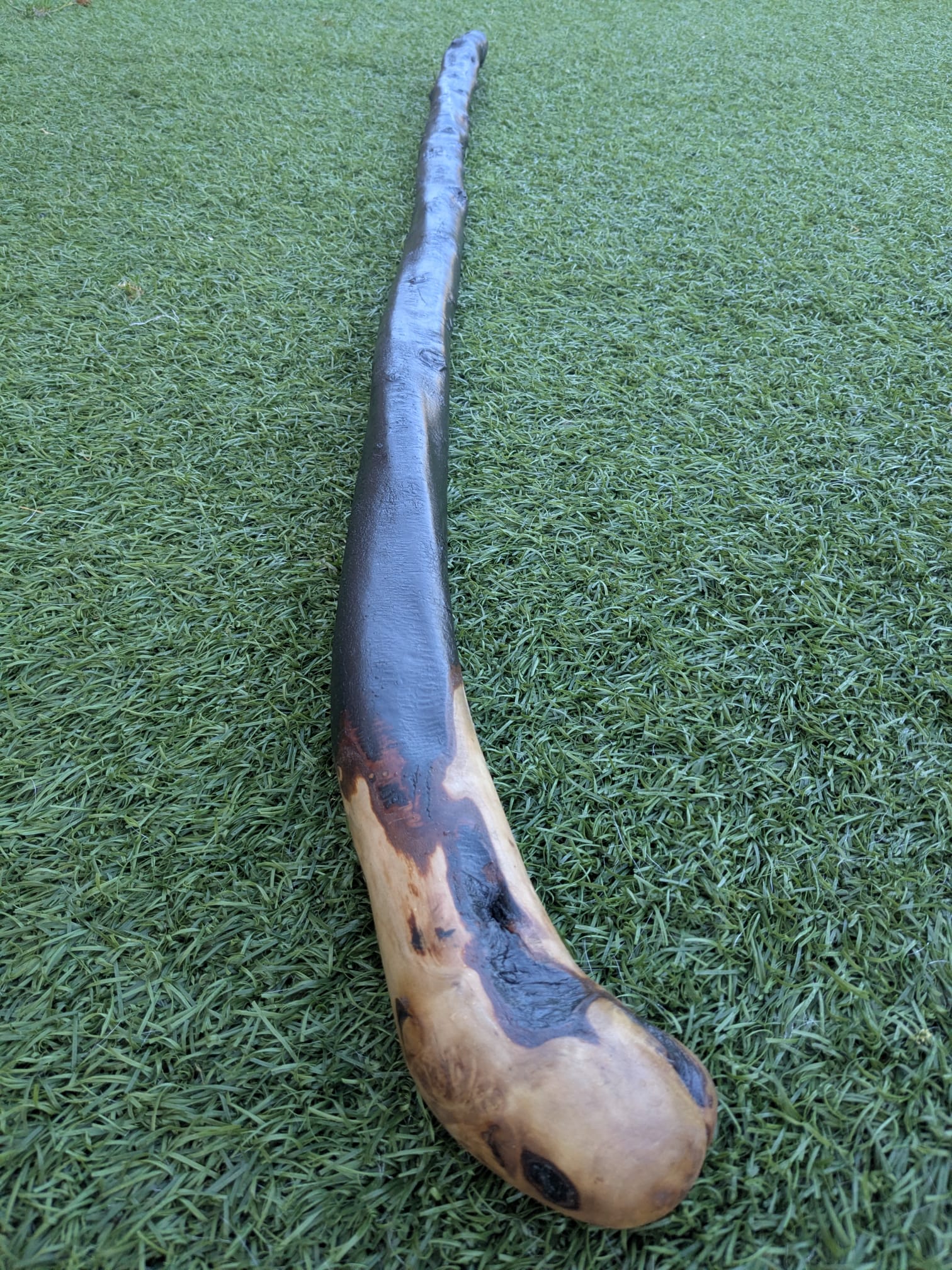 Big Blackthorn Rootball Walking Stick