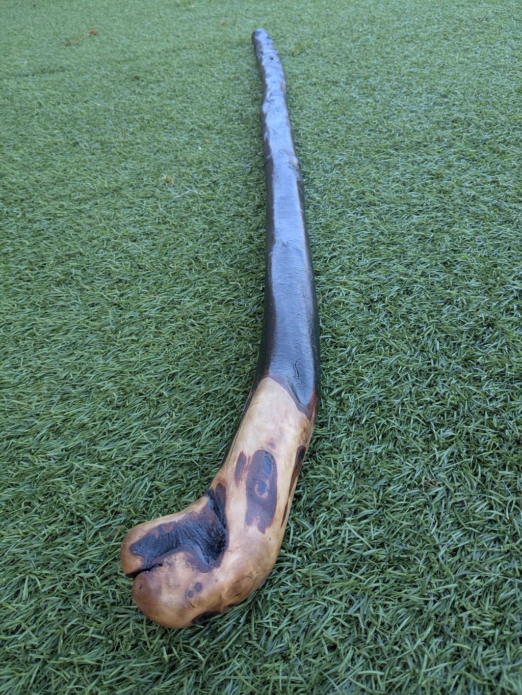 Big Blackthorn Rootball Walking Stick