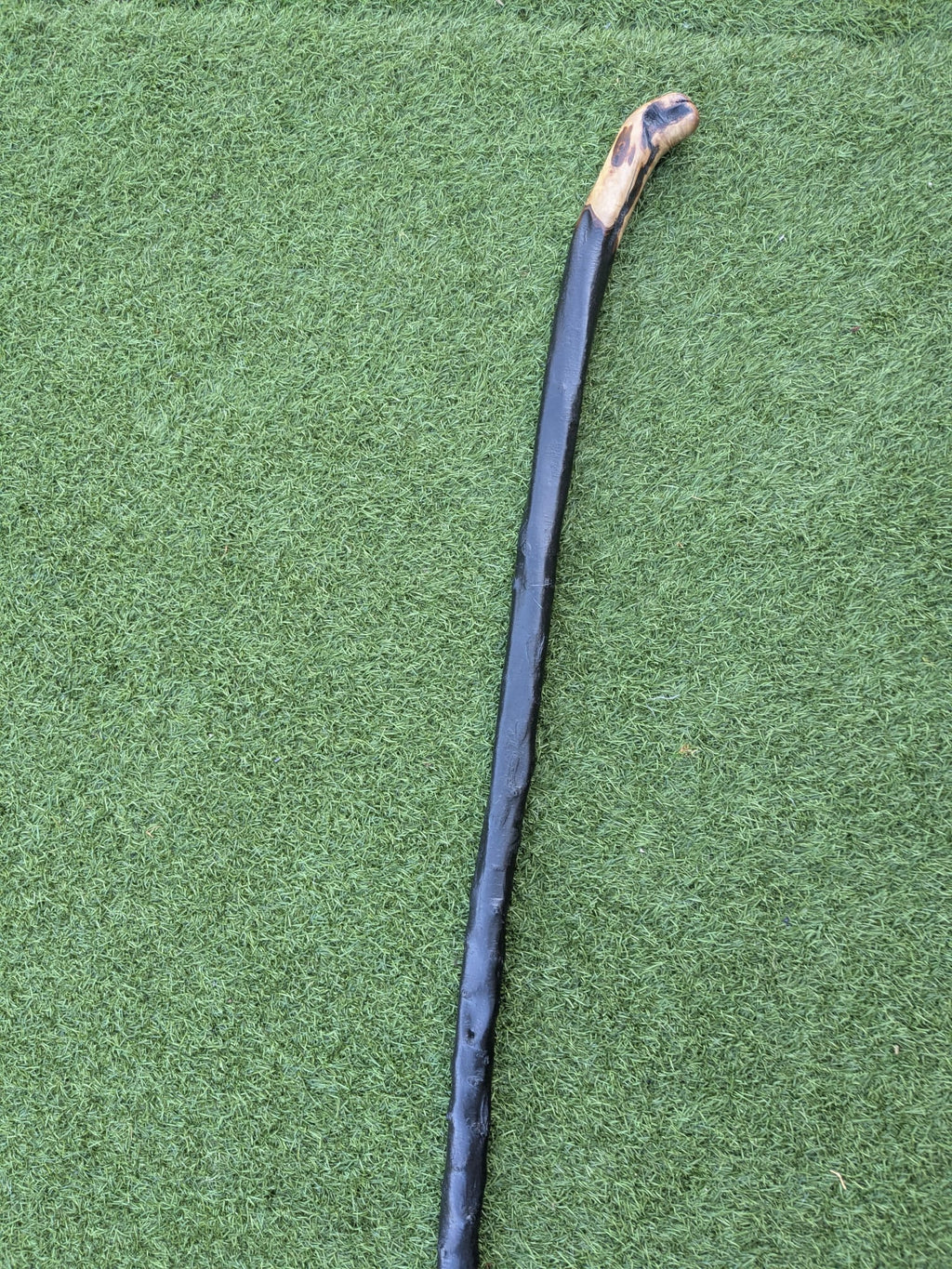 Big Blackthorn Rootball Walking Stick
