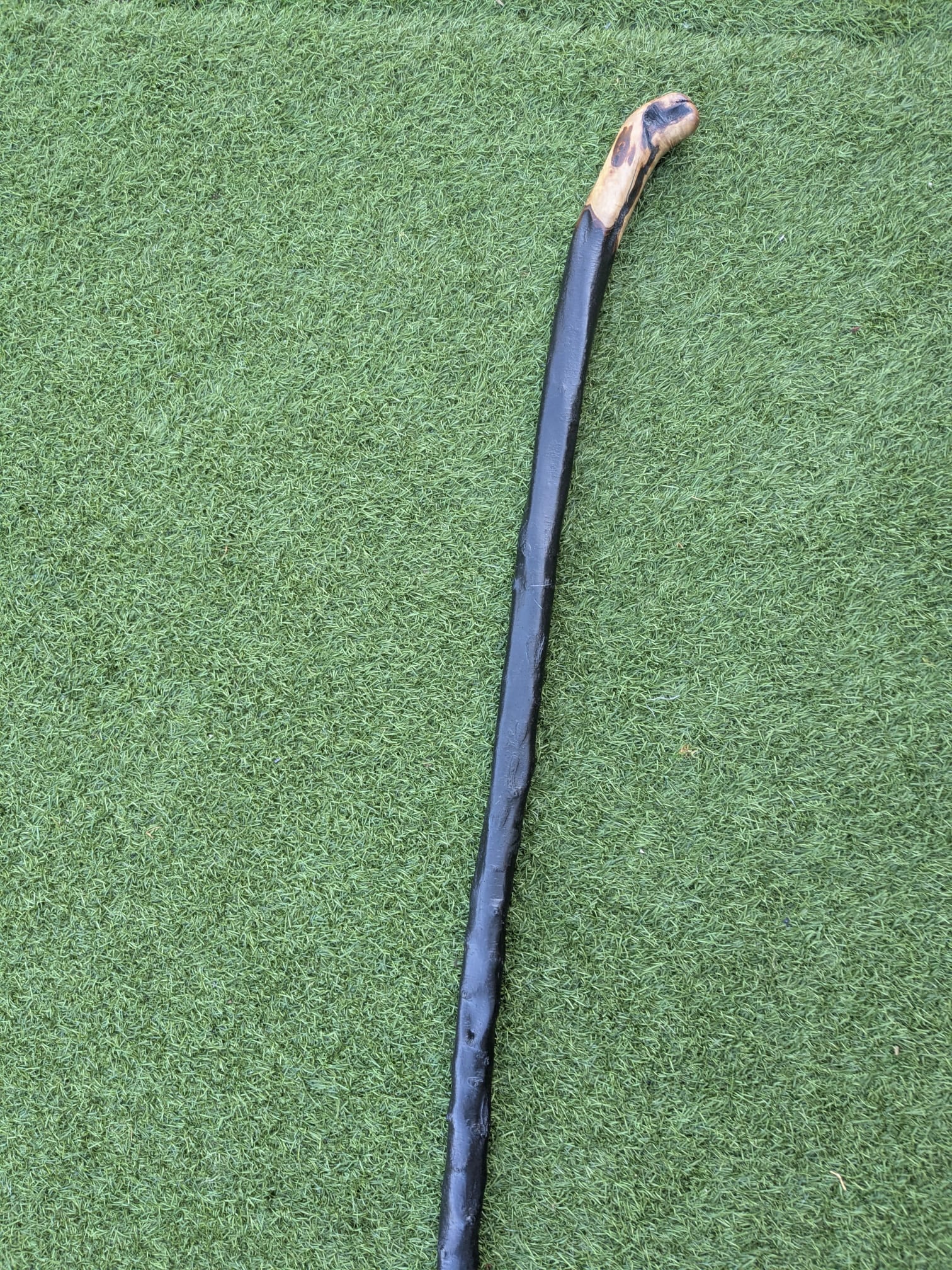 Big Blackthorn Rootball Walking Stick