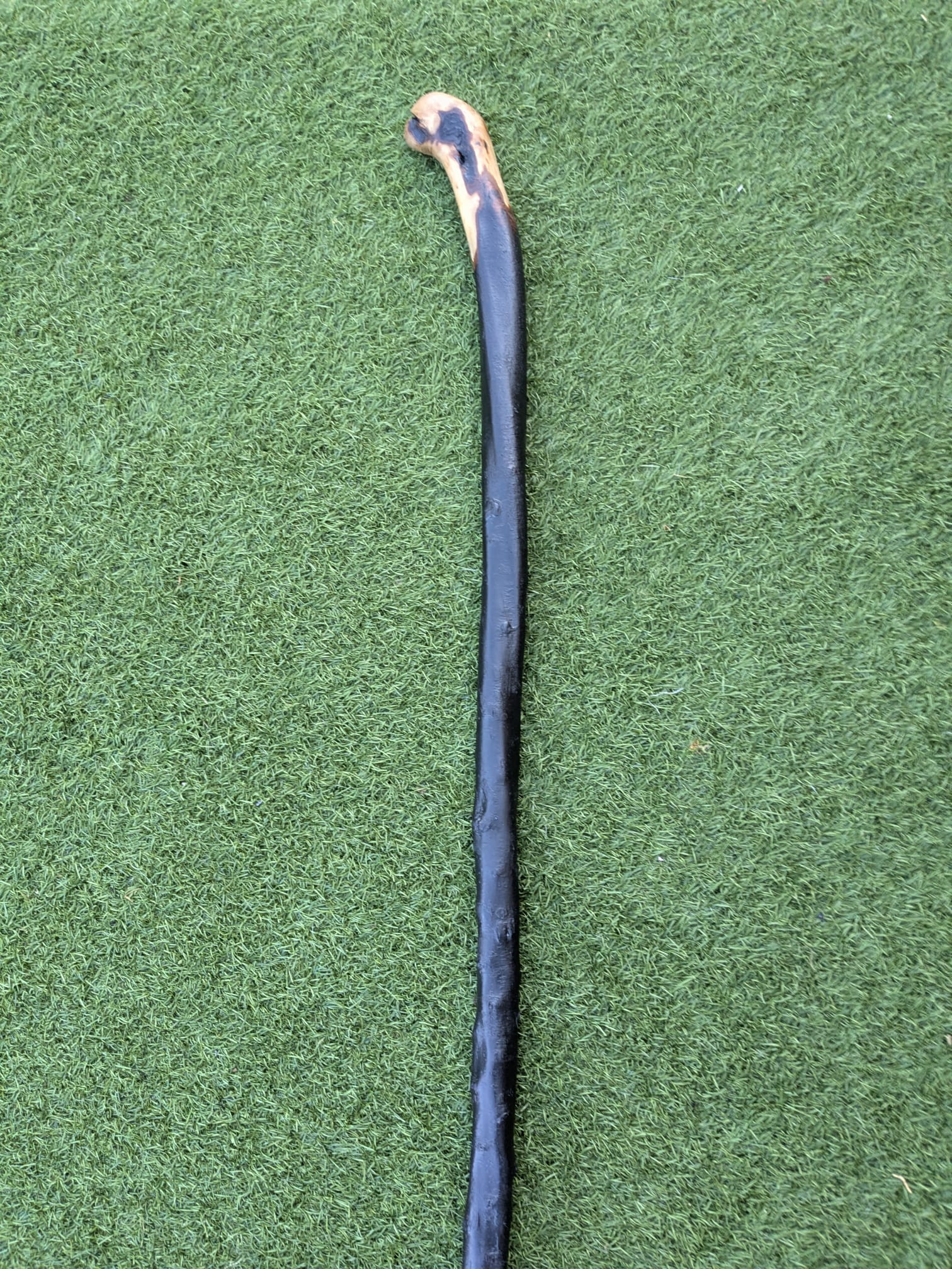 Big Blackthorn Rootball Walking Stick