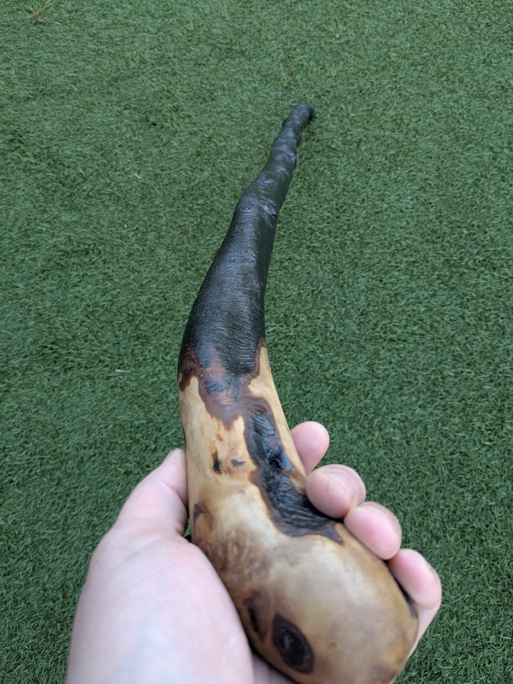 Big Blackthorn Rootball Walking Stick
