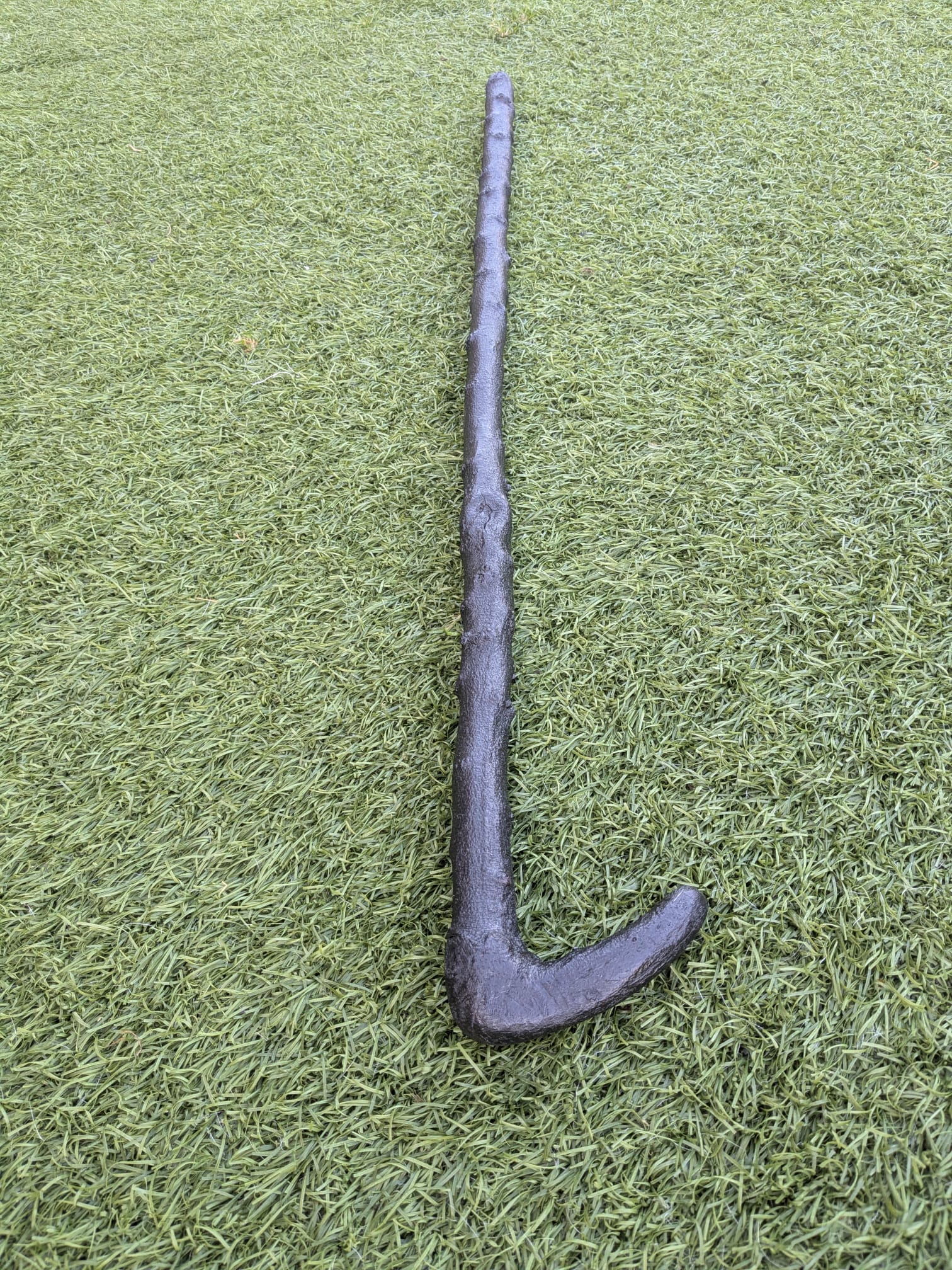 Blackthorn walking stick