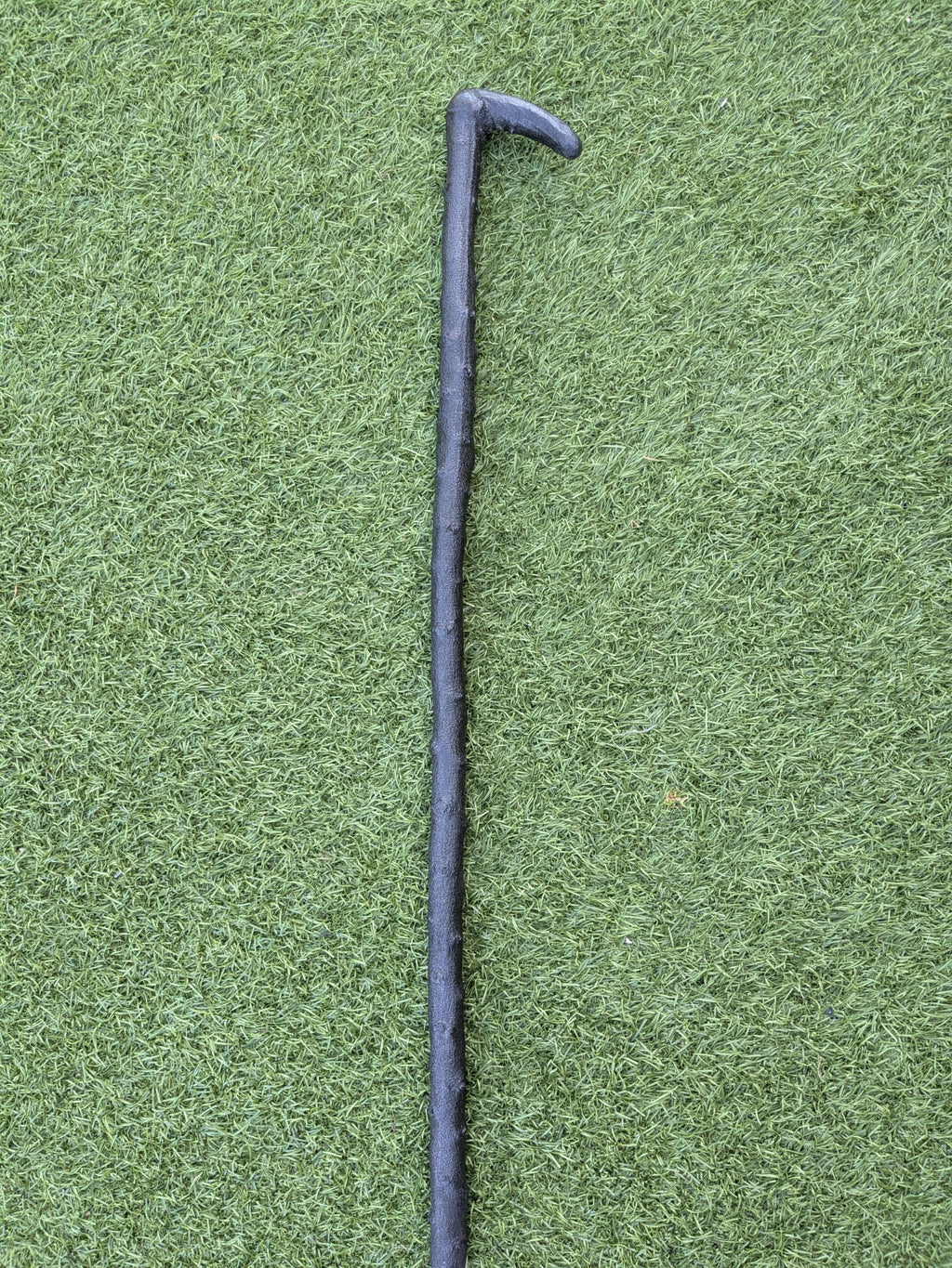 Blackthorn walking stick