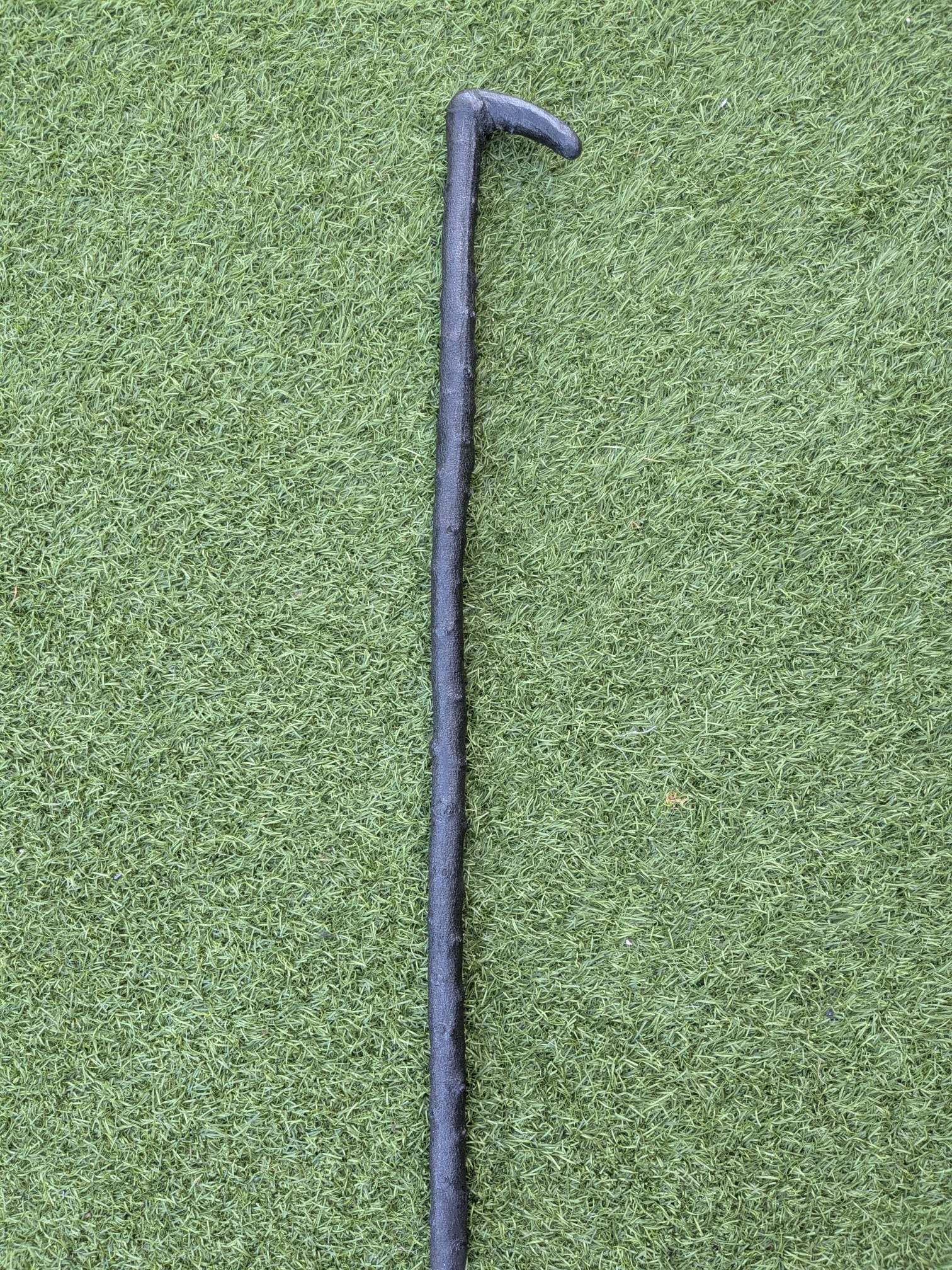 Blackthorn walking stick