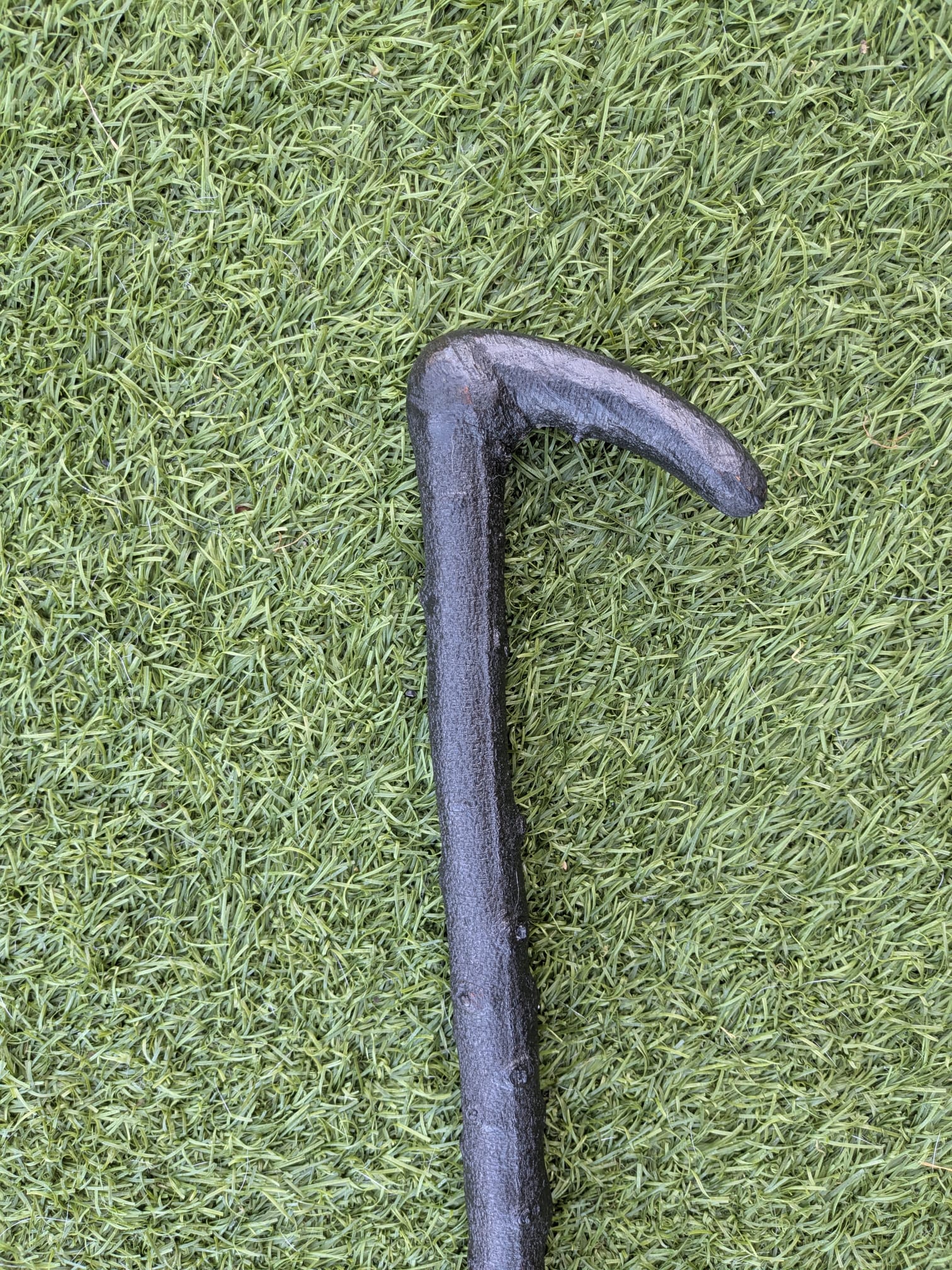 Blackthorn walking stick