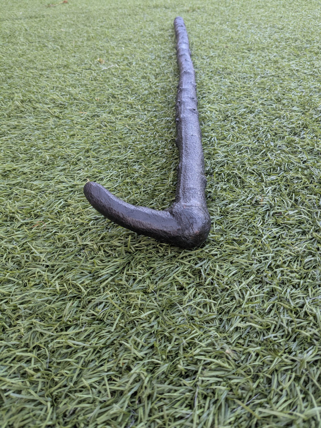 Blackthorn walking stick