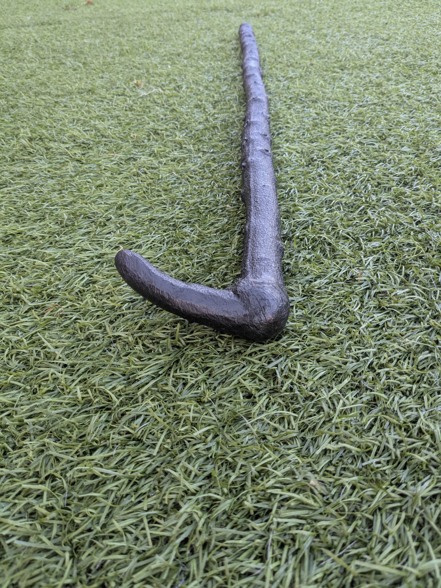 Blackthorn walking stick