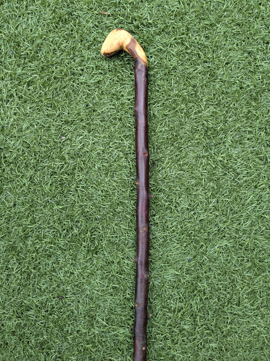 Blackthorn Crook handle walking stick