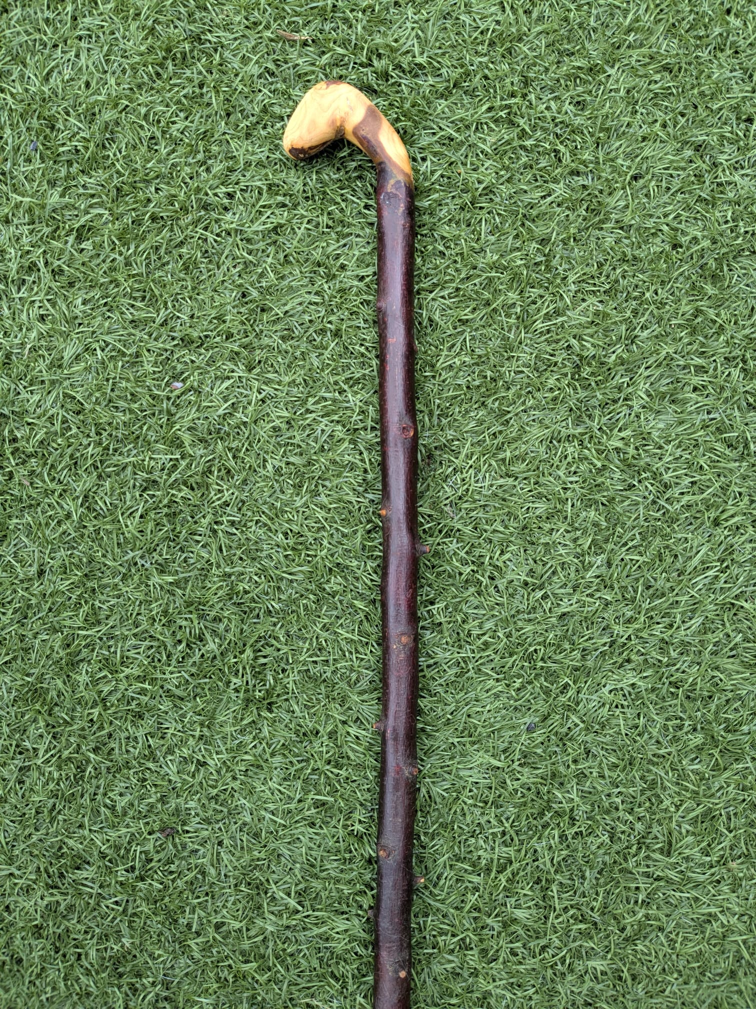 Blackthorn Crook handle walking stick