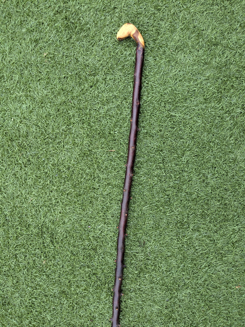 Blackthorn Crook handle walking stick