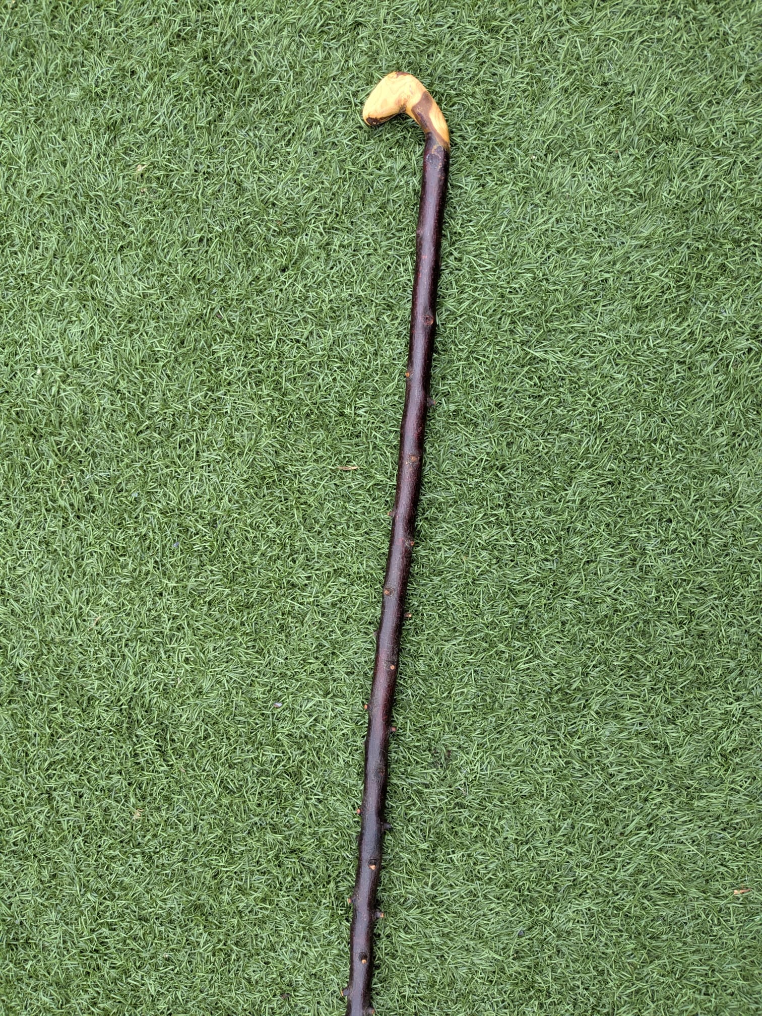Blackthorn Crook handle walking stick